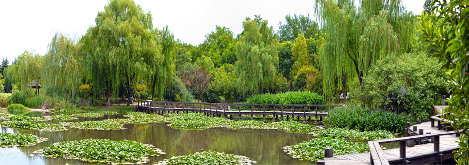 url(http://www.hssc-scrutiny.com/theme/TP000163/pic/banner4.jpg)